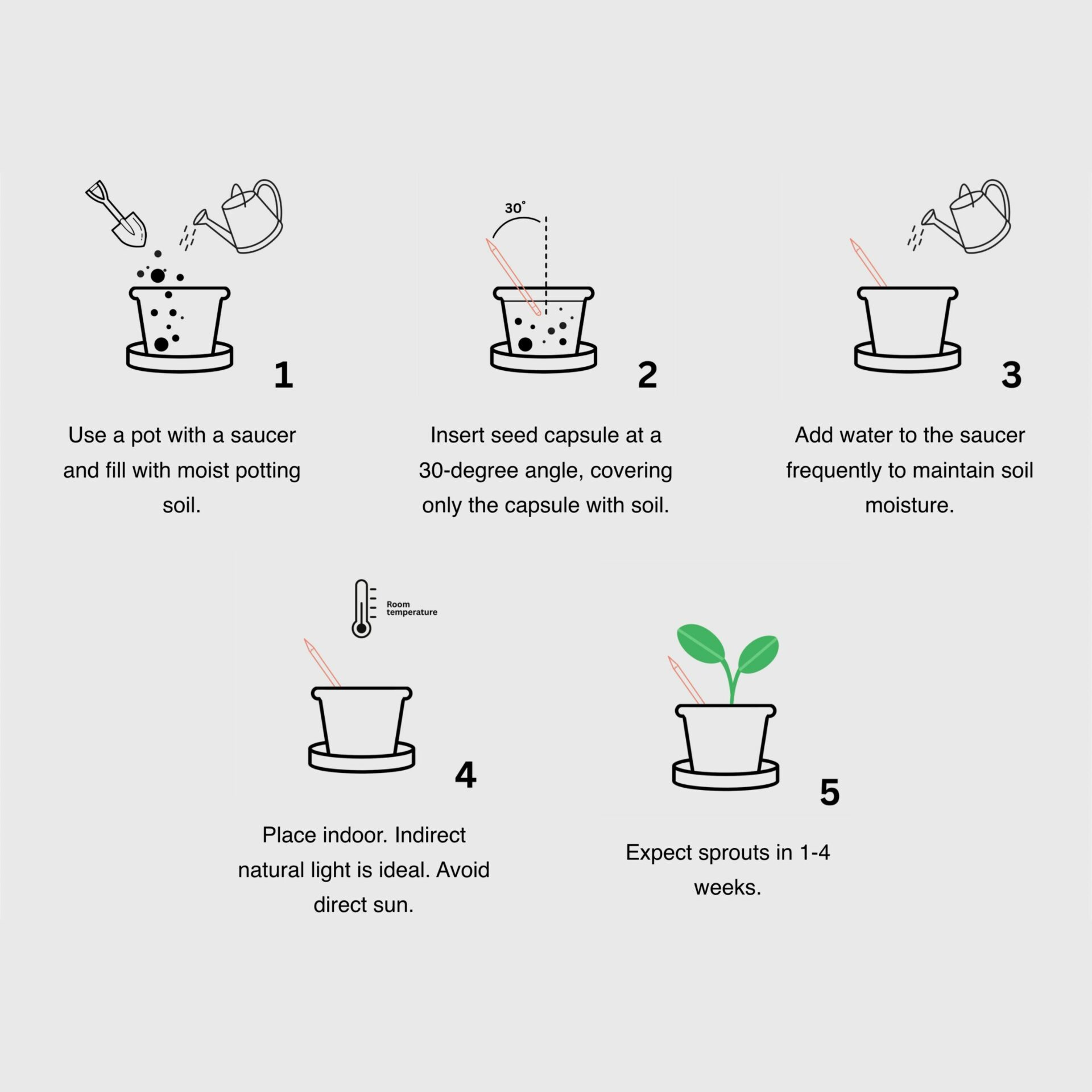 Seed Pen Singapore planting guide