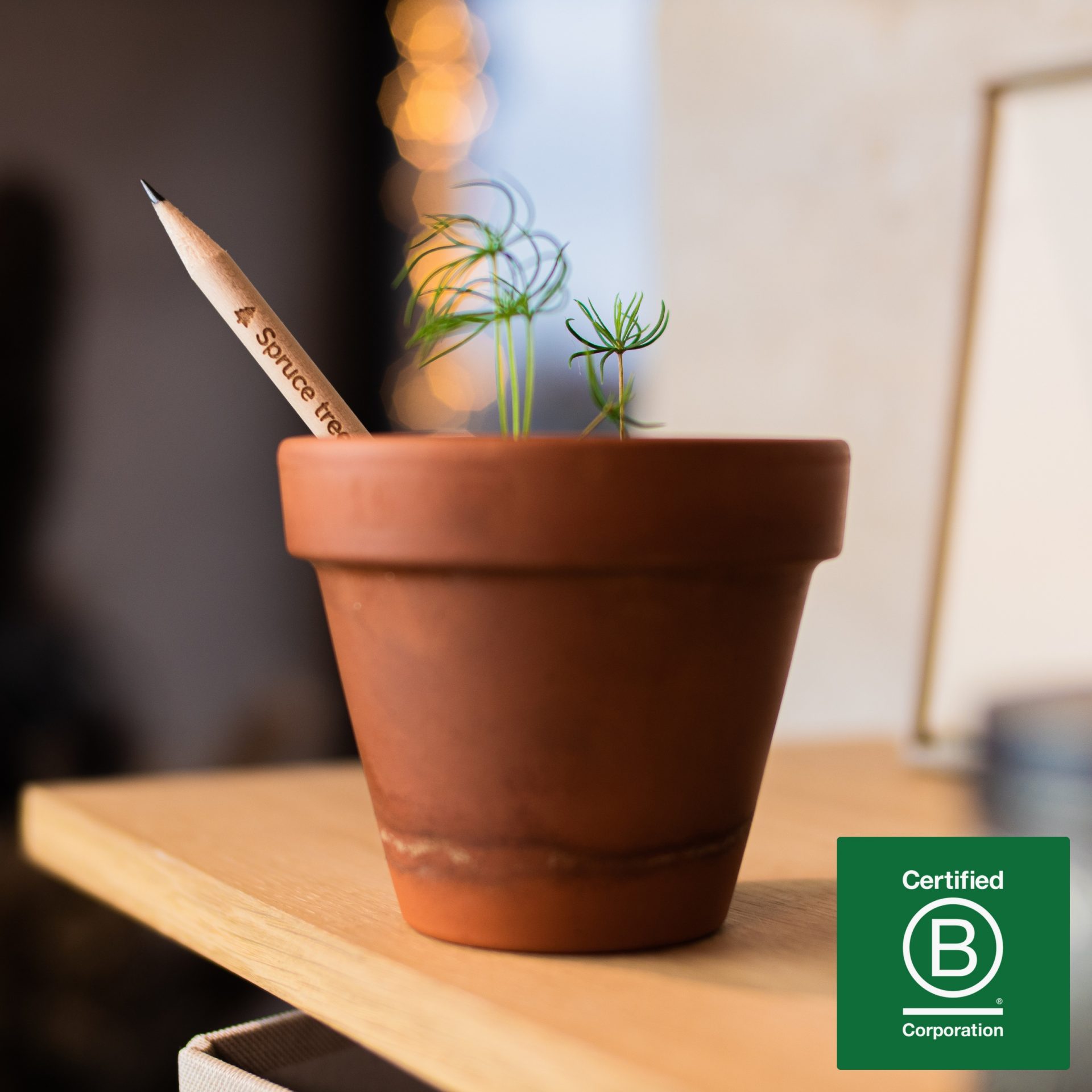 SproutWorld - Plantable Sprout Pencil