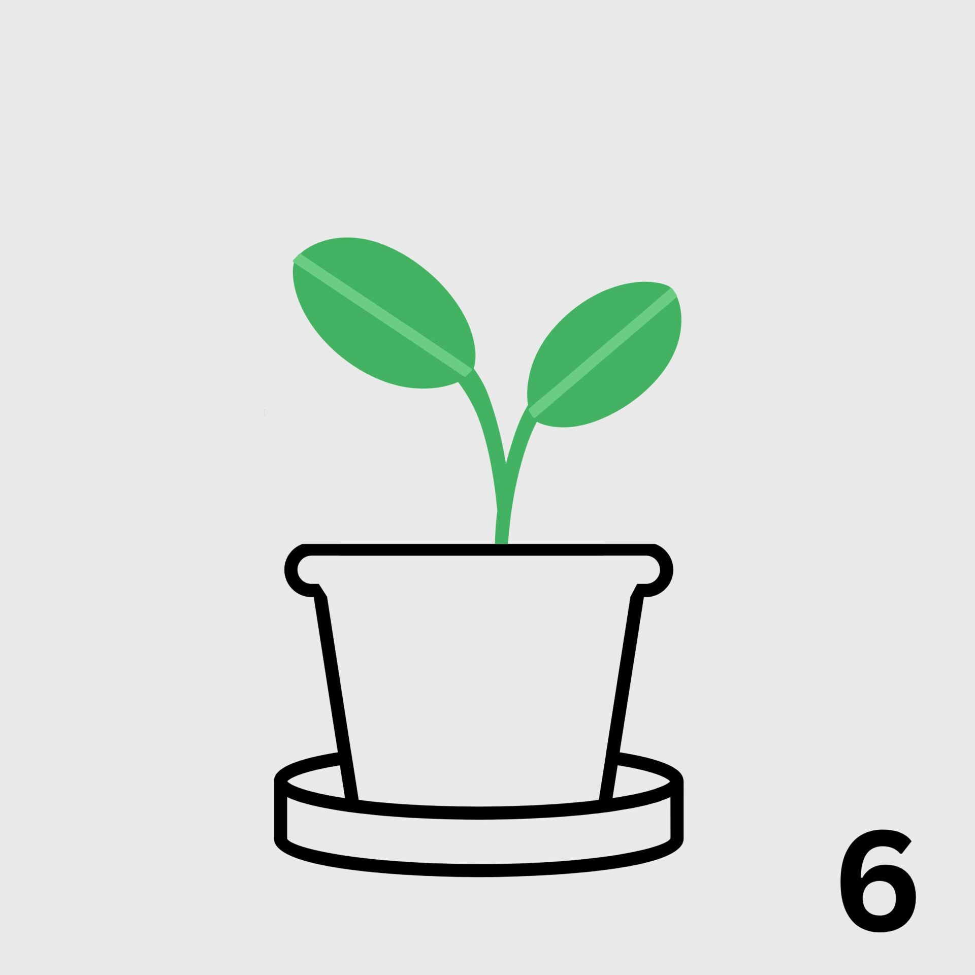 corporate gifts plantable seed stationery paper planting guide 1 to 3 weeks sprout