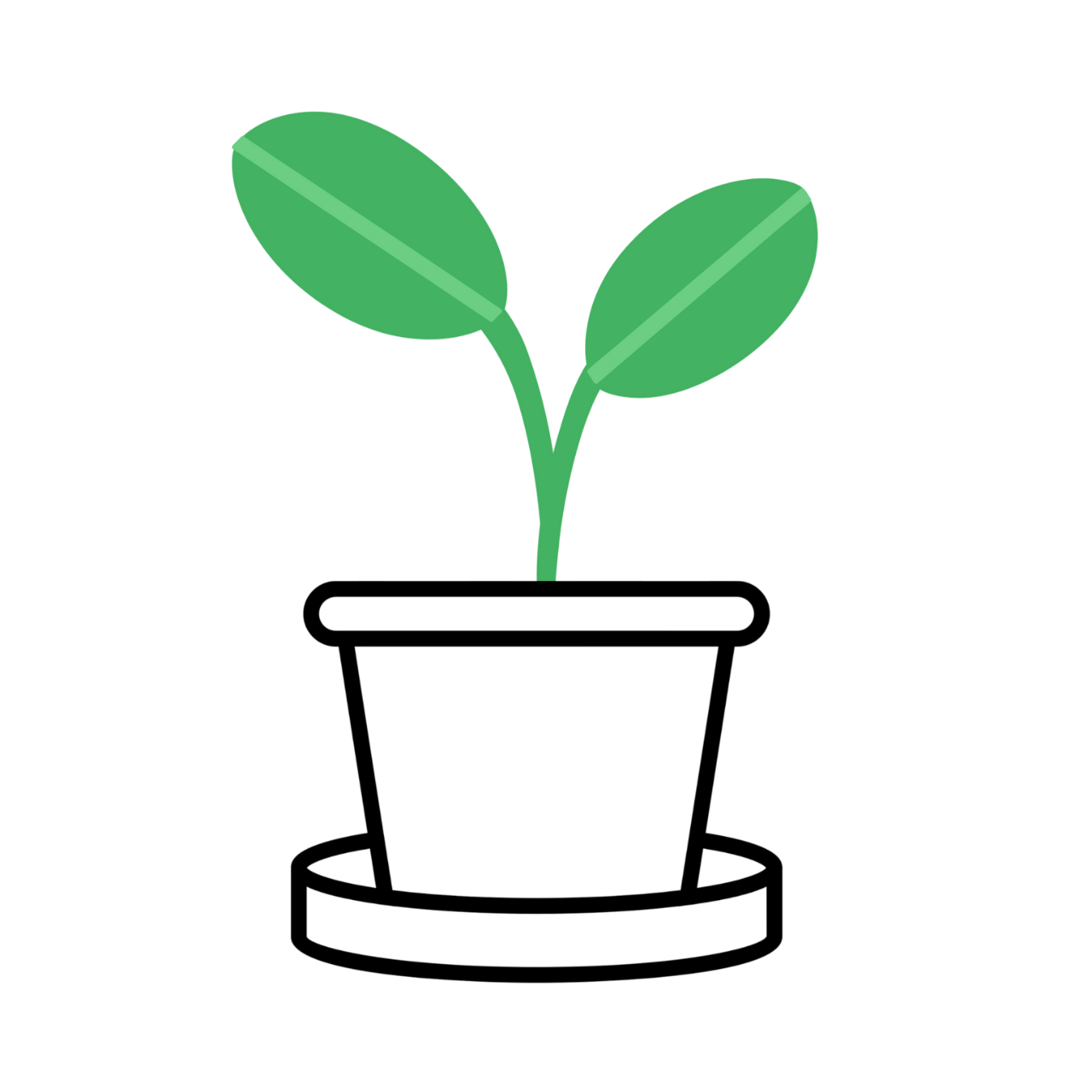 sustainable corporate gifts plantable seed stationery