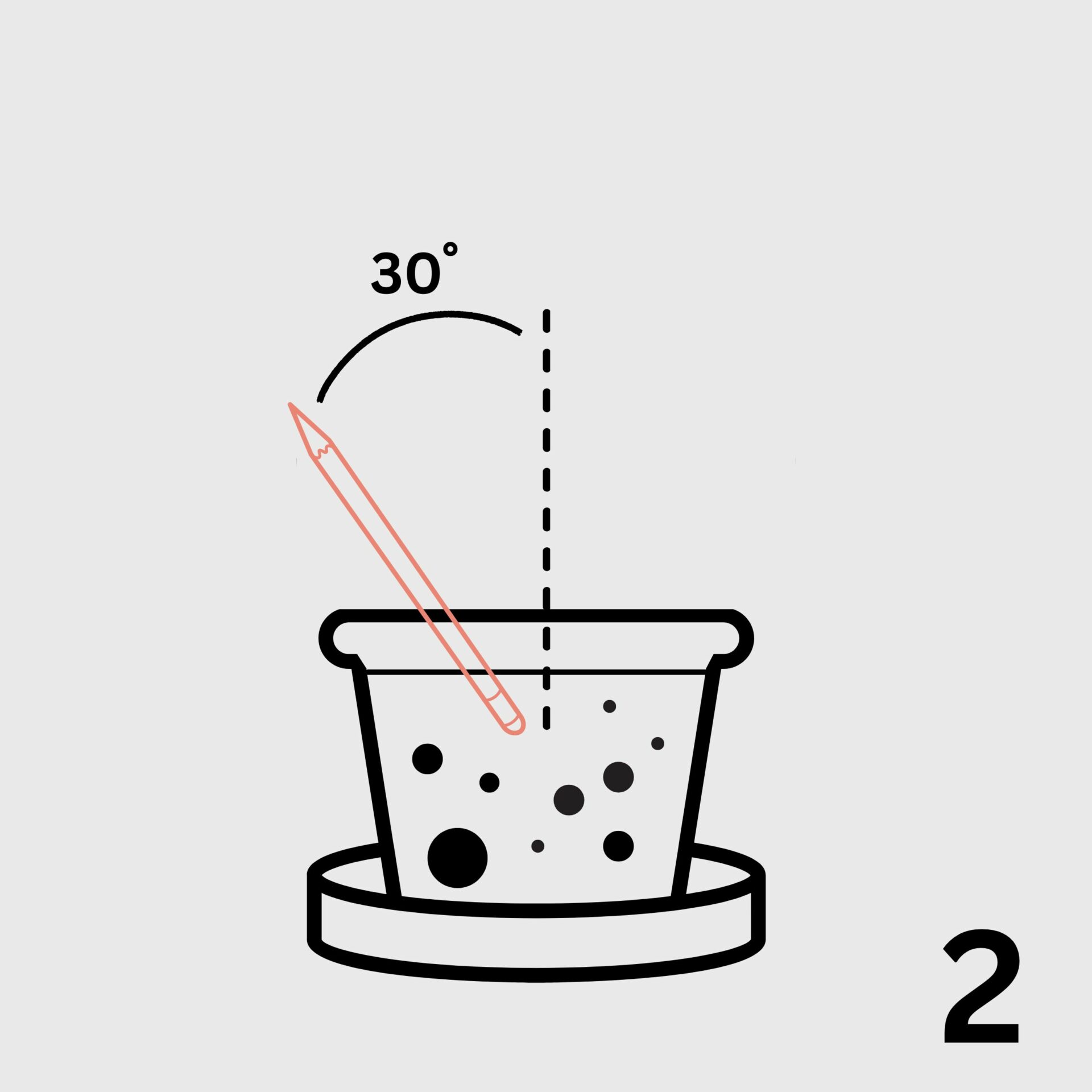 seed pencil singapore corporate gifts planting guide step 2
