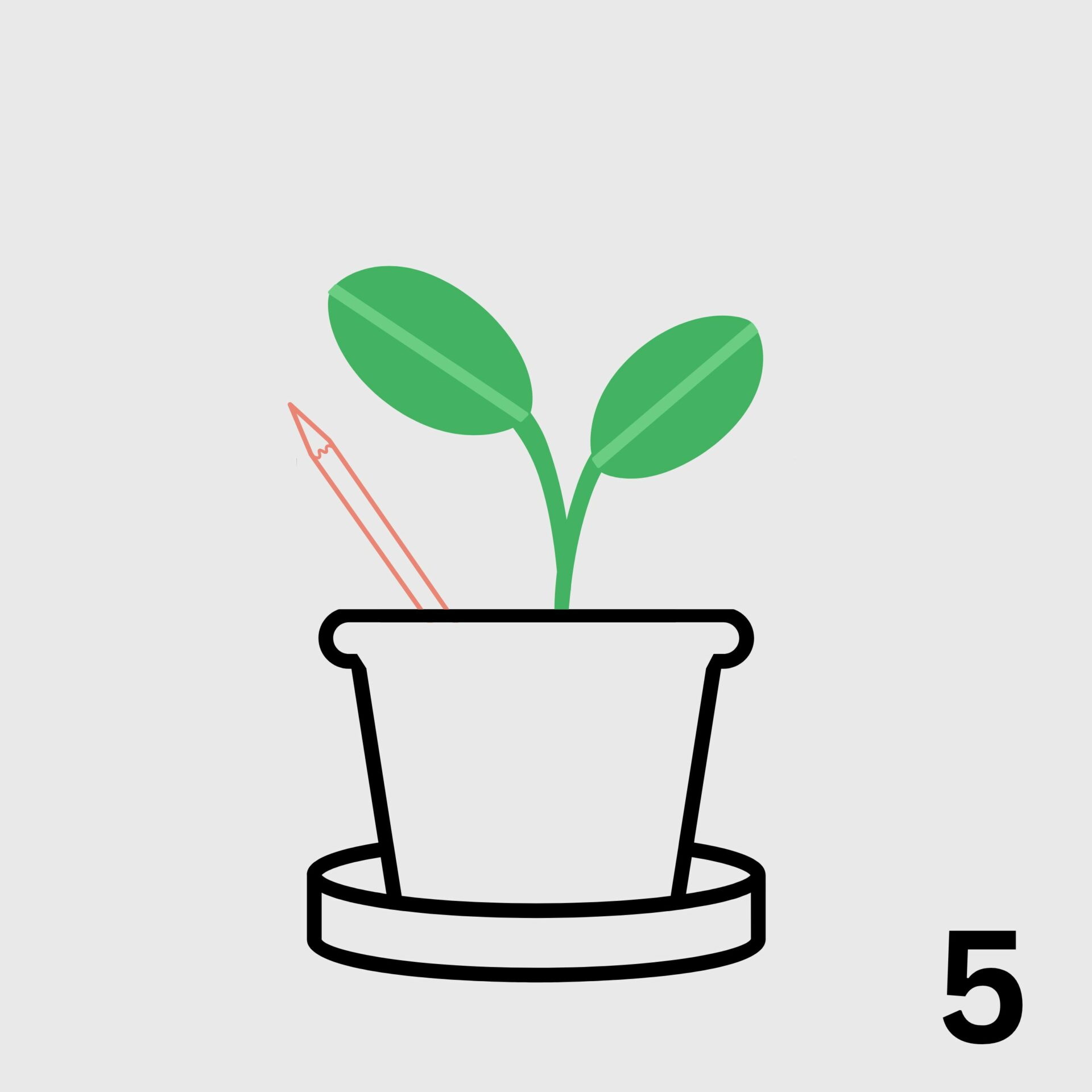 seed pencil singapore planting guide step 5